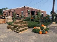 T&B Landscaping logo