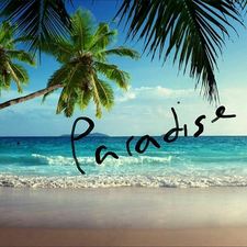Logo for Paradise Clean