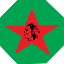 Alamassee Systems logo