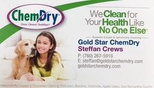 Logo for Gold Star Chem-Dry