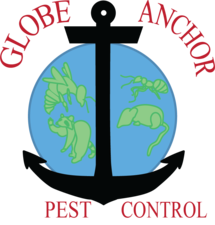 Avatar for Globe & Anchor Pest Control, LLC