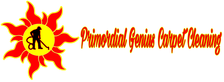 Avatar for Primordial Genius Cleaning, LLC