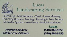 Lucas Landscaping logo
