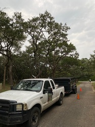 Butlers Of Landscaping logo