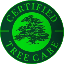 Avatar for Certified Tree Care