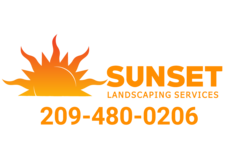 Avatar for Sunset Landscaping Services, Inc.