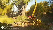 Avatar for Graves Lawn & Tree Services
