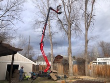 Avatar for Chandler Tree Service