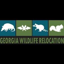 Avatar for Georgia Wildlife Relocation