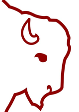 Comanche Construction LLC logo