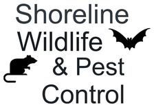 Avatar for Shoreline Wildlife & Pest Control