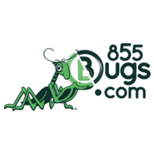 Avatar for 855bugs.com