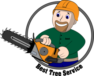 Best Tree Service, LLC logo