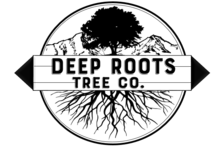 Logo for Deep Roots Tree Co.