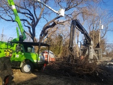 Avatar for Wichita Tree Service, LLC
