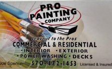 Avatar for The Pro Painting Company
