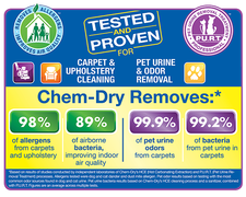 Logo for Green Emerald Chem Dry