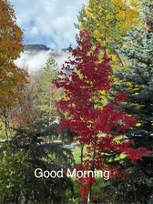 Logo for Affordable Lawn Care & Sprinkler Repair, LLC