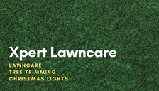 Avatar for Matt's Lawn Care