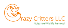 Avatar for Crazy Critters, LLC