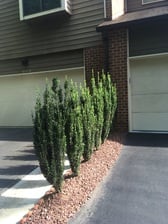 Better Care Landscaping, Corp. logo