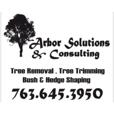 Avatar for Arbor Solutions & Consulting