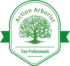 Avatar for Action Arborist