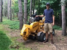Avatar for Quality Stump Grinding of Minnesota