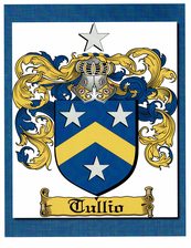 Tullio Environmental Services logo