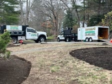 Avatar for Antonio's Landscaping and Construction