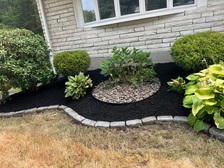 Avatar for Antonio's Landscaping and Construction