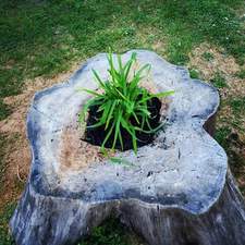 Avatar for Russell's Rustic Garden and Lawn
