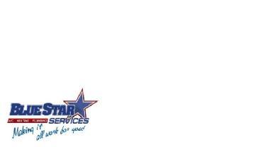 Blue Star Services, LLC logo