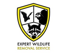 Expert Wildlife Removal & Pest logo
