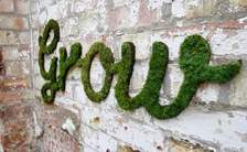 Avatar for Irrigation Landscaping LLC - Home Facebook