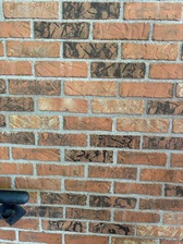 Avatar for Calvin Peters Jr