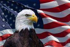 Logo for All American Innovations