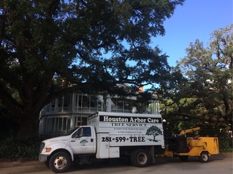 Houston Arbor Care logo