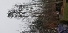 GHT Landscape LLC logo