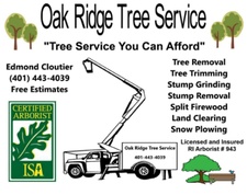 Avatar for Oak Ridge Tree Service