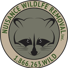 Avatar for Nuisance Wildlife Removal, Inc.