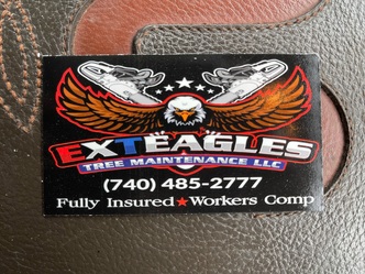 E.X.T. Eagle's Tree Maintenance logo