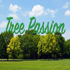 Avatar for Tree Passion
