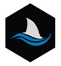 Silver Fin Property Services, LLC logo