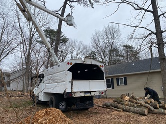 Tree and Lawn Fella LLC logo