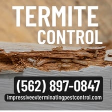 Avatar for Impressive Exterminating, Inc