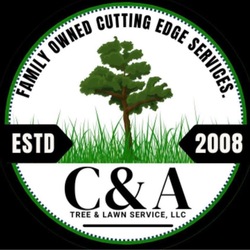 C&A Tree & Lawn Service logo
