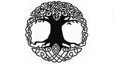 Avatar for Ullr Tree Services