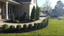 Avatar for Elite Outdoor Creations, LLC