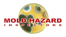 Avatar for Mold Detection Family Protection